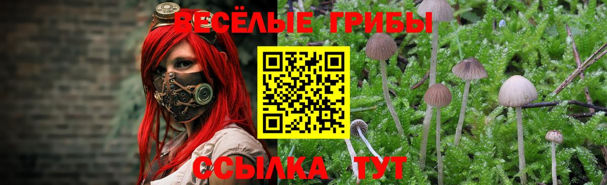 Волгодонск  Галлюциногенные грибы ЛСД  Вход с VPN  Галлюциногенные грибы прущие грибы 