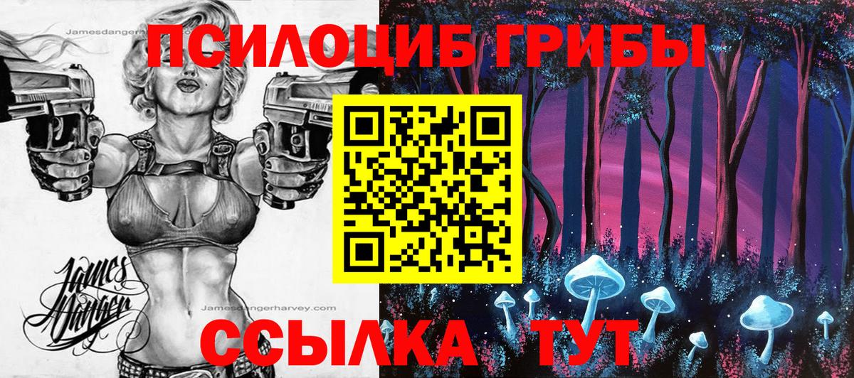 Галлюциногенные грибы ЛСД Волгодонск